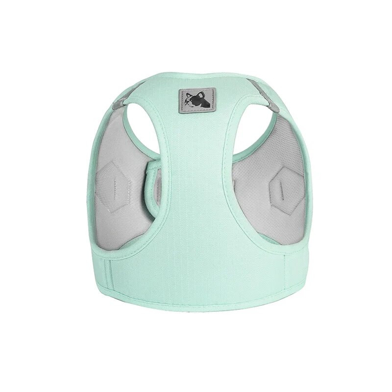 Uusimad kutsikassi koera vesti rakmed ja jalutusrihma komplekt väikestele keskmistele koertele Macaron lemmiklooma rakmed Šnautser Shih Tzu maskotid Tooted