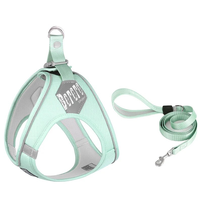 Uusimad kutsikassi koera vesti rakmed ja jalutusrihma komplekt väikestele keskmistele koertele Macaron lemmiklooma rakmed Šnautser Shih Tzu maskotid Tooted