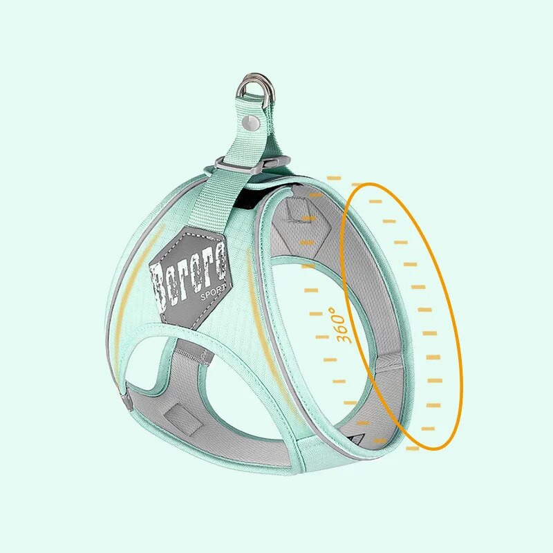 Uusimad kutsikassi koera vesti rakmed ja jalutusrihma komplekt väikestele keskmistele koertele Macaron lemmiklooma rakmed Šnautser Shih Tzu maskotid Tooted