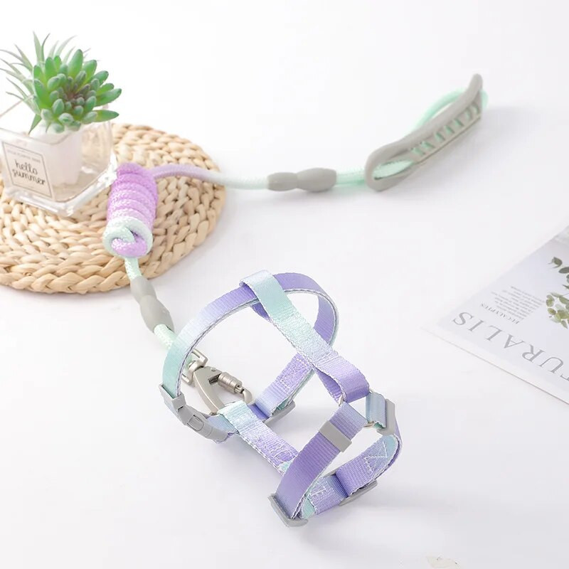 I-veida mājdzīvnieku siksnas siksnas komplekts gradienta krāsā ar mīkstu rokturi, suns izturīga krūšu siksna Mīksti regulējami āra pastaigu piederumi