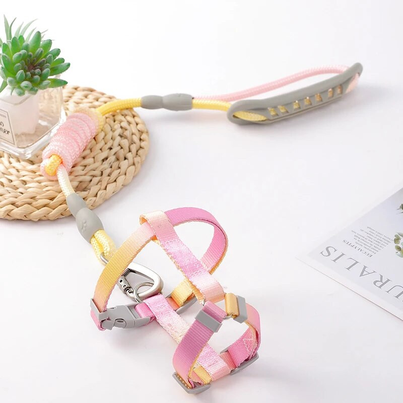 I-veida mājdzīvnieku siksnas siksnas komplekts gradienta krāsā ar mīkstu rokturi, suns izturīga krūšu siksna Mīksti regulējami āra pastaigu piederumi