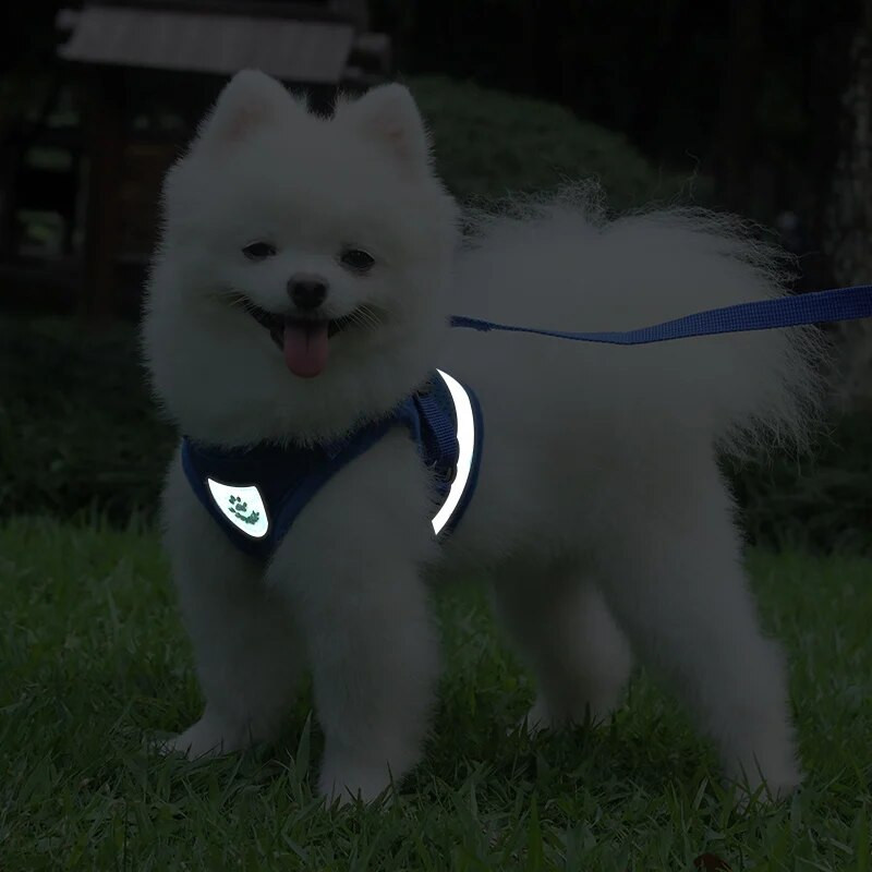 Nyári kisállatkutya mellény hám és póráz készletek Fényvisszaverő hálós hámok kis kutyák számára Pomerániai corgi Yorkshire Puppy Arnes perro