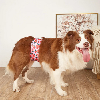 Cartoon επαναχρησιμοποιήσιμα ζώα Αρσενικός σκύλος Φυσιολογικό παντελόνι Ρυθμιζόμενο Εσώρουχο Υγιεινής Βαμβακερό λουράκι βαμβακερό κουτάβι