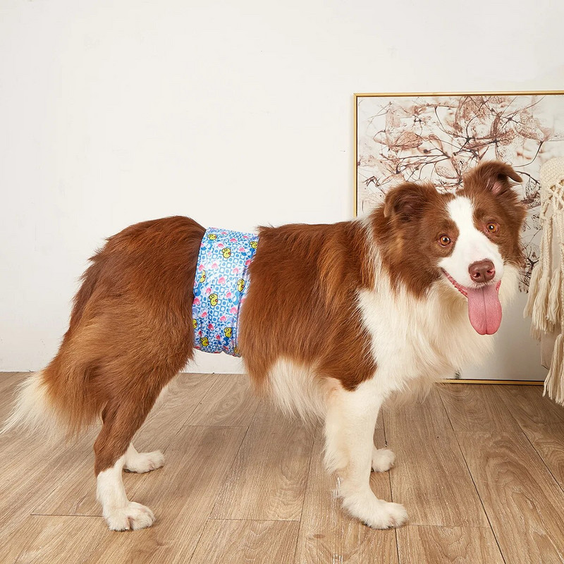 Cartoon επαναχρησιμοποιήσιμα ζώα Αρσενικός σκύλος Φυσιολογικό παντελόνι Ρυθμιζόμενο Εσώρουχο Υγιεινής Βαμβακερό λουράκι βαμβακερό κουτάβι
