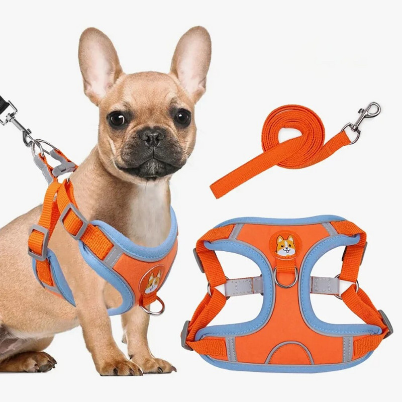 Állítható kutyahám és póráz szett Fényvisszaverő kölyökkutya ajándék macskahám mellény kis kutya kültéri kiképző pórázok húzás nélkül