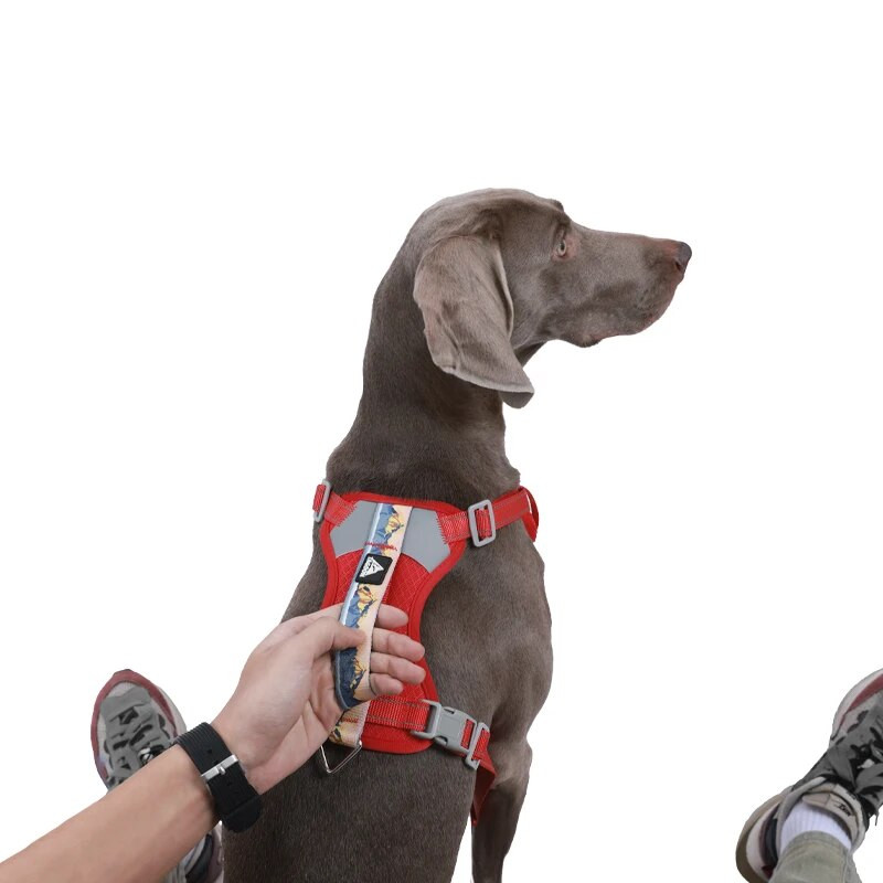 Vaikščiojantis mažas didelis treniruočių nailono reguliuojama liemenė šviesą atspindinti naminis šuo vidutinė rankena didelis dirželis be įtempimo liemenė reguliuojama