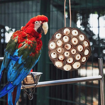 Παπαγάλος πουλιών σε σχήμα Lotus Pod Anti Biting Φυσικό παιχνίδι μασήματος και τροφής για Parakeet Cockatiel Entertainment Pet Supplies