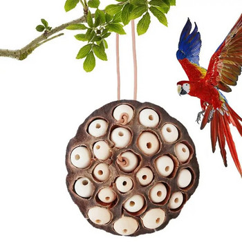 Παπαγάλος πουλιών σε σχήμα Lotus Pod Anti Biting Φυσικό παιχνίδι μασήματος και τροφής για Parakeet Cockatiel Entertainment Pet Supplies