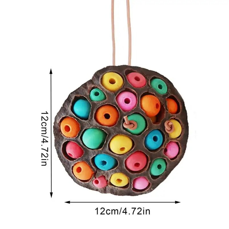 Lootosekaunakujuline linnupapagoi hammustusvastane naturaalne närimis- ja toiduotsimismänguasi papagoi kukeseene meelelahutuseks lemmikloomatarbeks