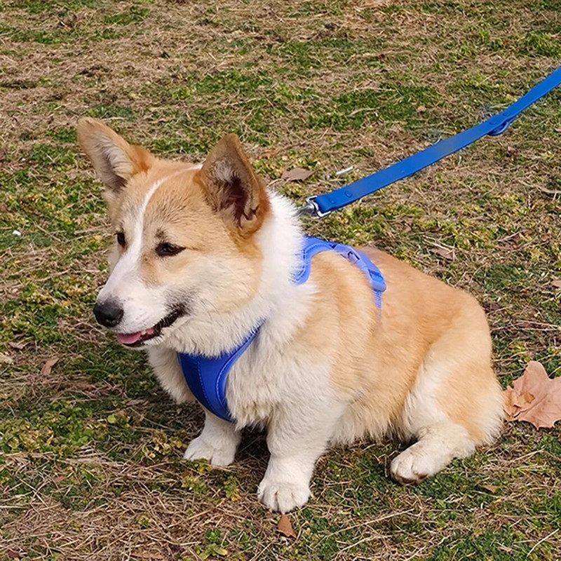 Ham ușor pentru vestă pentru câini, cu ham moale și confortabil, reglabil, cu plasă respirabilă, pentru câini mici, mijlocii mari, care se plimbă