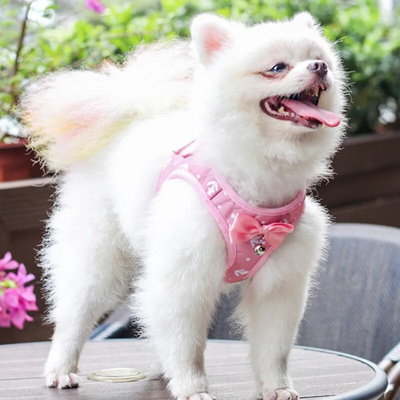 Lemmikloomakoera rakmed põgenemiskindlad hingavad koerarakmed ja jalutusrihm õues jalutamiseks, hõlpsasti juhitav kassi koera jalutusrihm nailonist rakmete komplekt