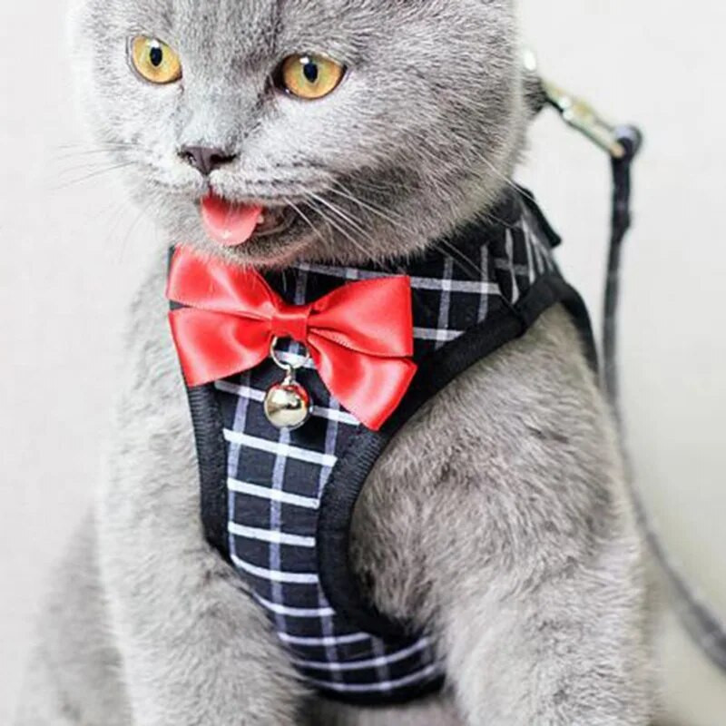 Lemmikloomakoera rakmed põgenemiskindlad hingavad koerarakmed ja jalutusrihm õues jalutamiseks, hõlpsasti juhitav kassi koera jalutusrihm nailonist rakmete komplekt