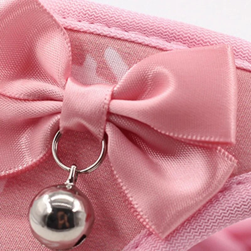 Lemmikloomakoera rakmed põgenemiskindlad hingavad koerarakmed ja jalutusrihm õues jalutamiseks, hõlpsasti juhitav kassi koera jalutusrihm nailonist rakmete komplekt