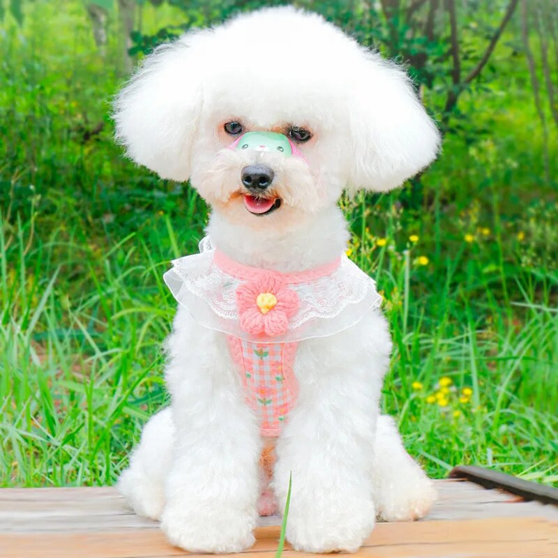 Liemenės naminių gyvūnėlių pakinktai spausdinti gėlėmis nėriniai šunų katės lauko vaikščiojimo reikmenys krūtinės dirželio sekimo pavadėlis mažam ir vidutiniam šuniukui