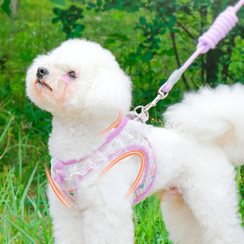 Liemenės naminių gyvūnėlių pakinktai spausdinti gėlėmis nėriniai šunų katės lauko vaikščiojimo reikmenys krūtinės dirželio sekimo pavadėlis mažam ir vidutiniam šuniukui