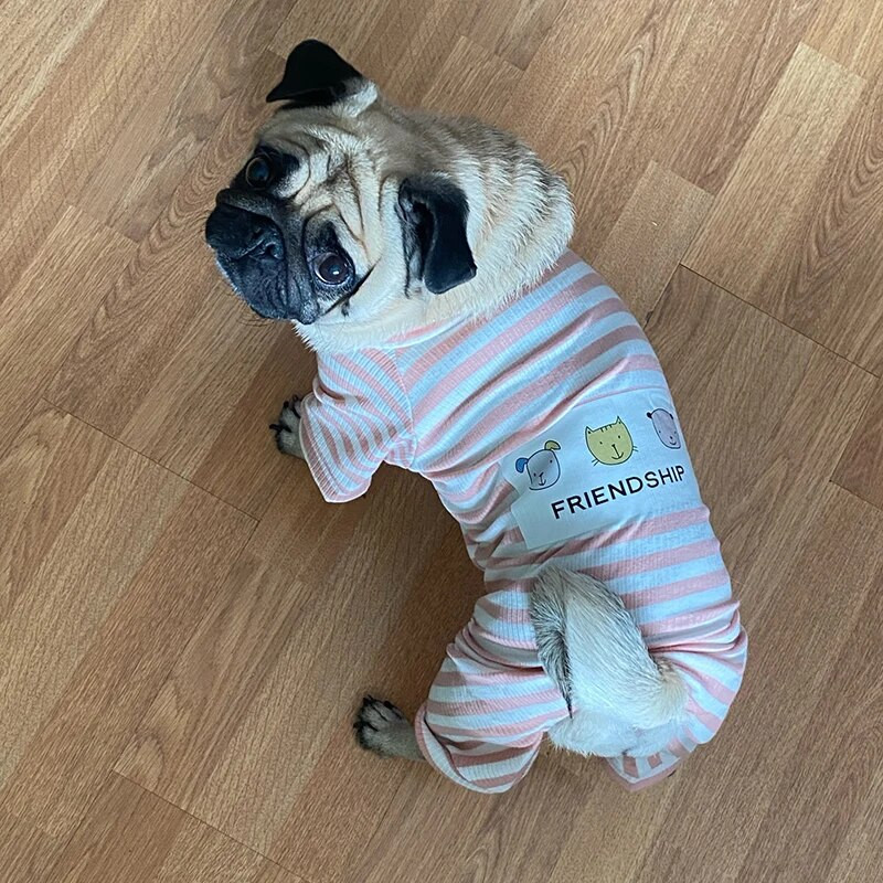 Stripe Dog Cat Pižamos Drabužiai Medvilniniai Kombinezonai Mažiems Šunims Čihuahua Mopsas Maltos Jorkšyro šuniuko Kombinezonas Talismanas Kostiumas