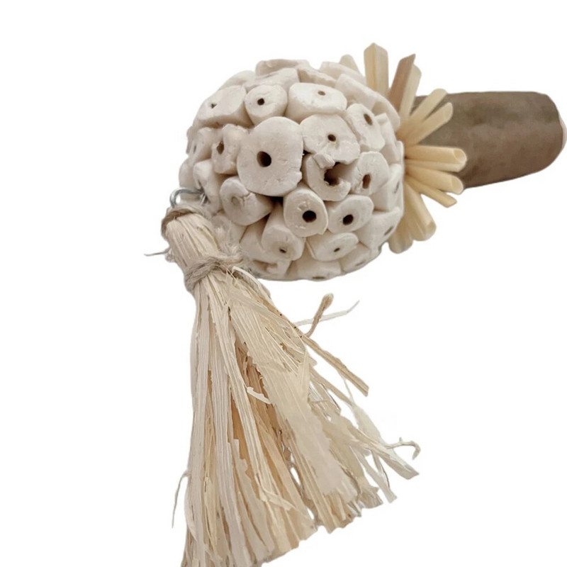 Paukščių žaislai Natūralūs Sola kamuoliukai Maitinimosi žaislas Kabantys paukščių kramtymo priedai papūgoms žiurkėnams triušiams