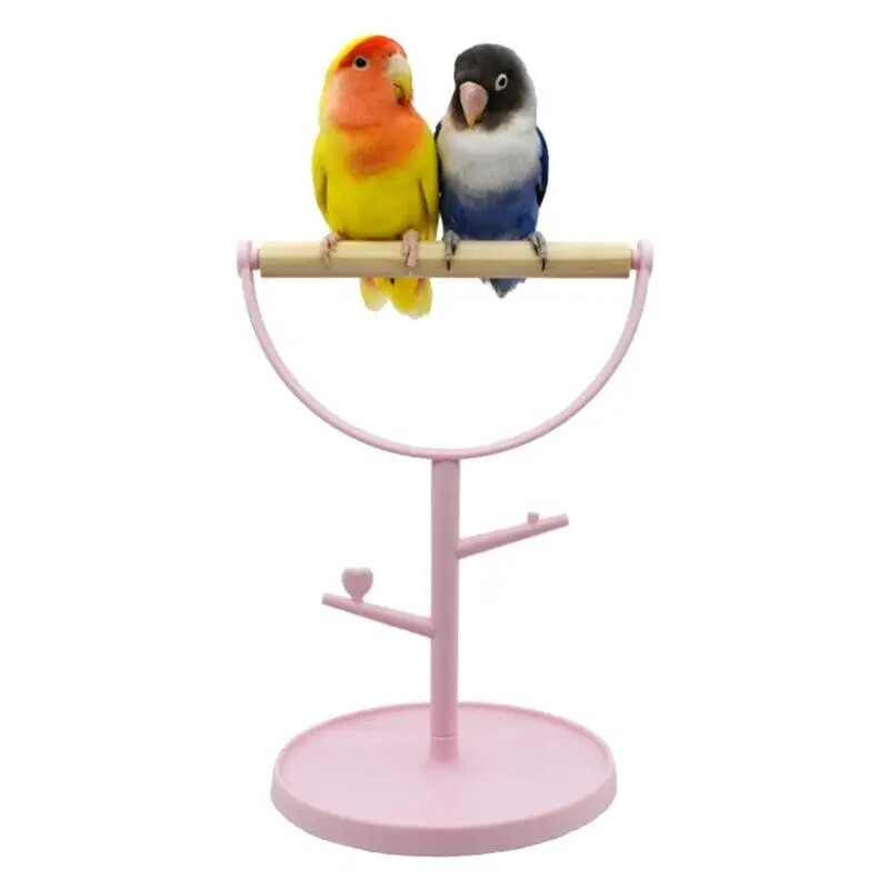 Paukščių tupintis Paukščių žaidimo papūgėlės stovas Treniruotės papūgos žaidimų stovas Nešiojami paukščių narvelio žaislai, skirti kaktieliams.
