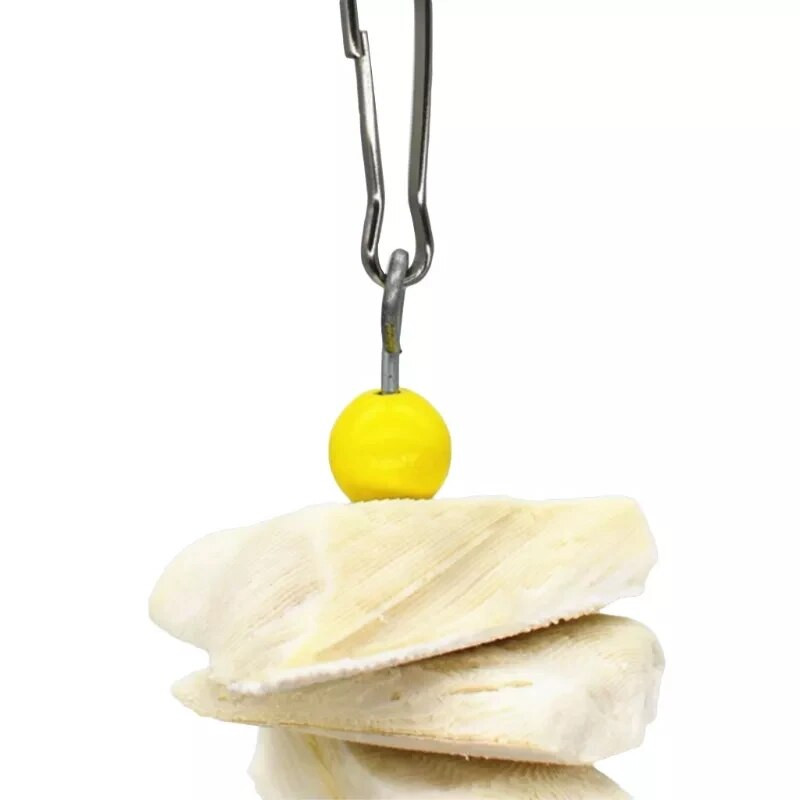 Jauna sēpijas kaulu putna rotaļlieta papagailis sēpijas asaris papagailis kaktis būra dekorēšanai piederums papagaiļa rotaļlietu putnam