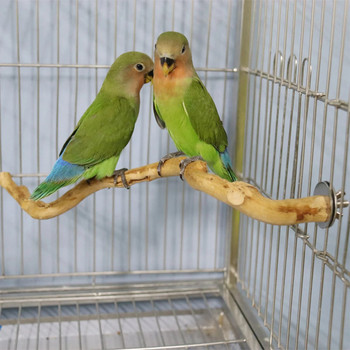 Стойка за птици Костур Y-образна естествена дървесина Стоящ бар Пръчка за дърво Безопасен папагал Играчки за дъвчене Стабилна станция за почистване Аксесоари за клетка