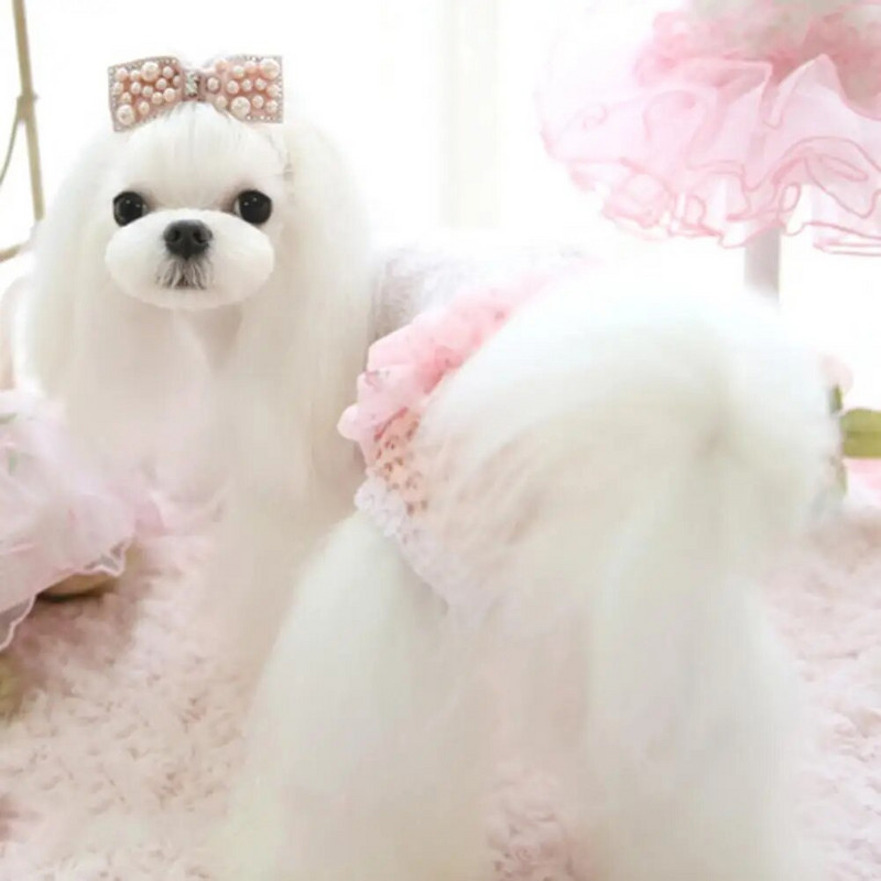 1 gab. Suņu perioda apakšveļa Mazgājama sieviešu suņu autiņbiksītes atkārtoti lietojamas fizioloģiskas bikses elpojošas mājdzīvnieku menstruālās bikses apakšbikses mājdzīvniekiem