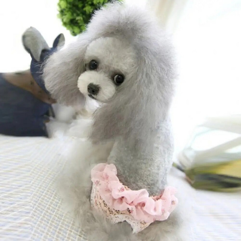 1 gab. Suņu perioda apakšveļa Mazgājama sieviešu suņu autiņbiksītes atkārtoti lietojamas fizioloģiskas bikses elpojošas mājdzīvnieku menstruālās bikses apakšbikses mājdzīvniekiem