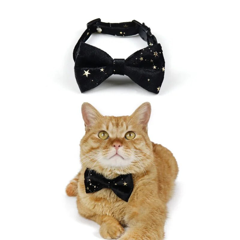 Aksominė katės apykaklė Reguliuojama saugos sagtis kačiuko peteliškės mielas peteliškės šuniukas Čihuahua karoliai naminių gyvūnėlių priedai