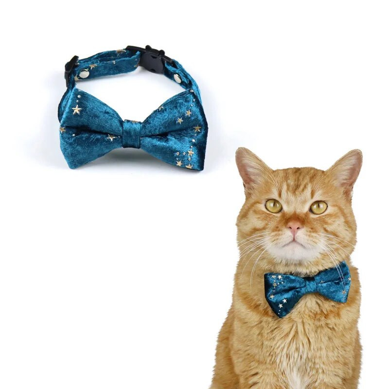 Aksominė katės apykaklė Reguliuojama saugos sagtis kačiuko peteliškės mielas peteliškės šuniukas Čihuahua karoliai naminių gyvūnėlių priedai