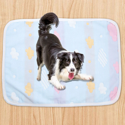 Plaunami šunų šlapinimosi padėklai, greitai įsigeriantys dresūros pagalvėlės, skirtos ne naminiams gyvūnėliams, daugkartinis grindų kilimėlis