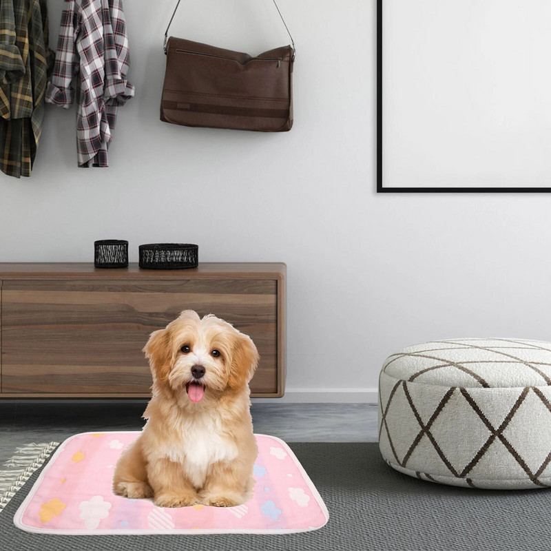 Plaunami šunų šlapinimosi padėklai, greitai įsigeriantys dresūros pagalvėlės, skirtos ne naminiams gyvūnėliams, daugkartinis grindų kilimėlis