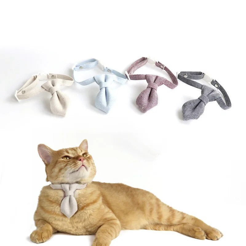 Χαριτωμένο περιλαίμιο γάτας με παπιγιόν αποσχισμένο κολιέ γρήγορης αποδέσμευσης Αξεσουάρ κατοικίδιων ζώων Ρυθμιζόμενα κολάρα με πόρπη ασφαλείας για γάτες κουτάβι