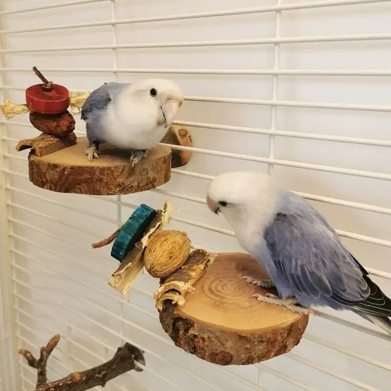 Okrugla drvena papiga vjeverica, ptica smuđ, platforma za stalak, kućni ljubimac, ptica vjeverica, papiga činčila, drveni mol, platforma za ronjenje