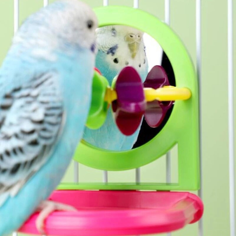 Papūgai Ešeriai Paukščių narvelis Veidrodis Žaislas Papūgos Sūpynės Žaislas Paukščių narvas Žaidimų stovas Kačiukai Papūgos Spaustuvas Ešerio narvelis Kampinis žaislas C6UE