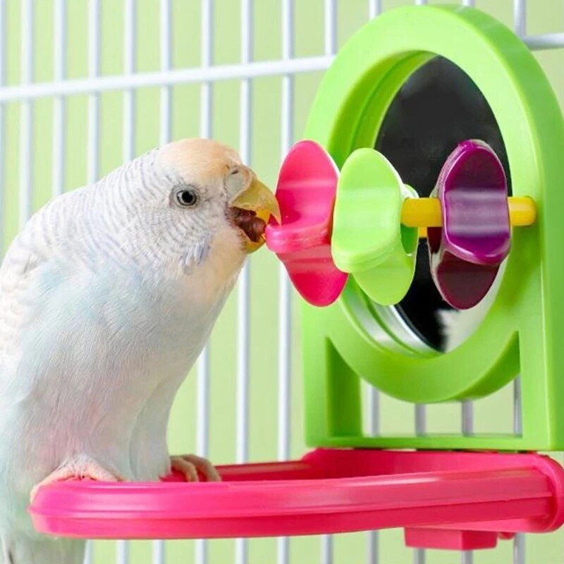 Papūgai Ešeriai Paukščių narvelis Veidrodis Žaislas Papūgos Sūpynės Žaislas Paukščių narvas Žaidimų stovas Kačiukai Papūgos Spaustuvas Ešerio narvelis Kampinis žaislas C6UE