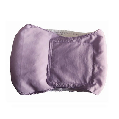 Atkārtoti lietojamas vīriešu kārtas suņu autiņbiksītes Necaurlaidīgas menstruālās sanitārās autiņbiksītes sunim fizioloģiskās bikses vēderplēves šorti mājdzīvnieku ikdienas piederumi