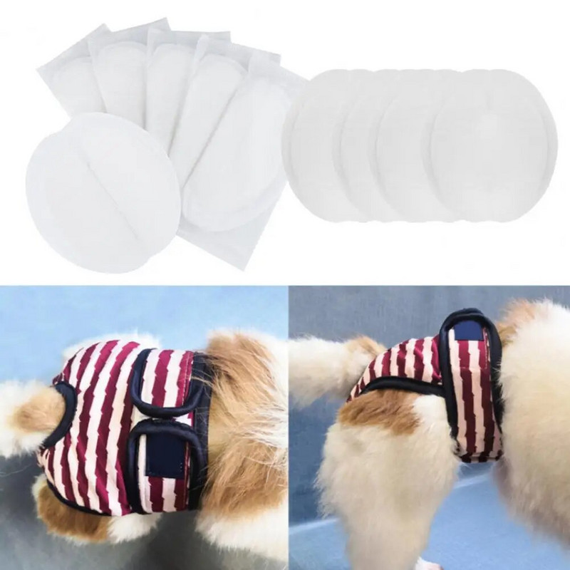 30gab/kastīte mājdzīvnieku autiņbiksītes spēcīga ūdens absorbcija infekcijas profilaksei mājdzīvnieku kaķu suņu vienreizējās lietošanas fizioloģiskie autiņbiksīšu paliktņi mājdzīvnieku piederumi