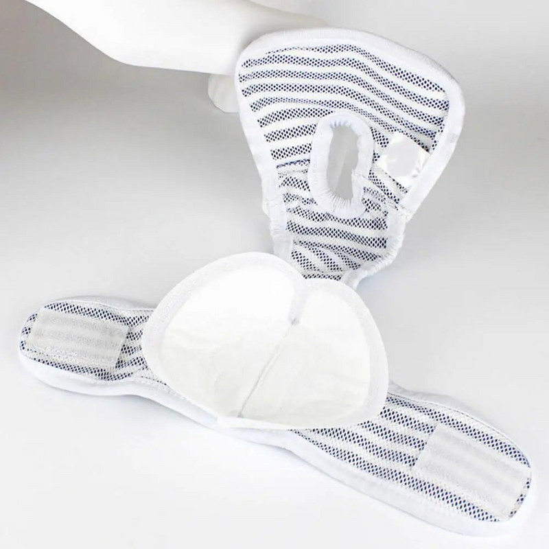 30gab/kastīte mājdzīvnieku autiņbiksītes spēcīga ūdens absorbcija infekcijas profilaksei mājdzīvnieku kaķu suņu vienreizējās lietošanas fizioloģiskie autiņbiksīšu paliktņi mājdzīvnieku piederumi