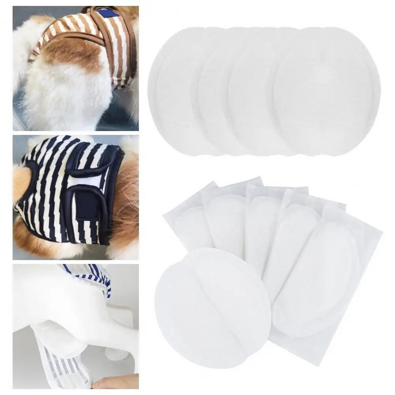 30gab/kastīte mājdzīvnieku autiņbiksītes spēcīga ūdens absorbcija infekcijas profilaksei mājdzīvnieku kaķu suņu vienreizējās lietošanas fizioloģiskie autiņbiksīšu paliktņi mājdzīvnieku piederumi