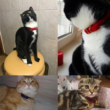 Нашийник за котки с предпазни нашийници за котки Регулируем нашийник за кученца за малки кучета Котенца Solid Pet Collarhu Products cat ogrlica