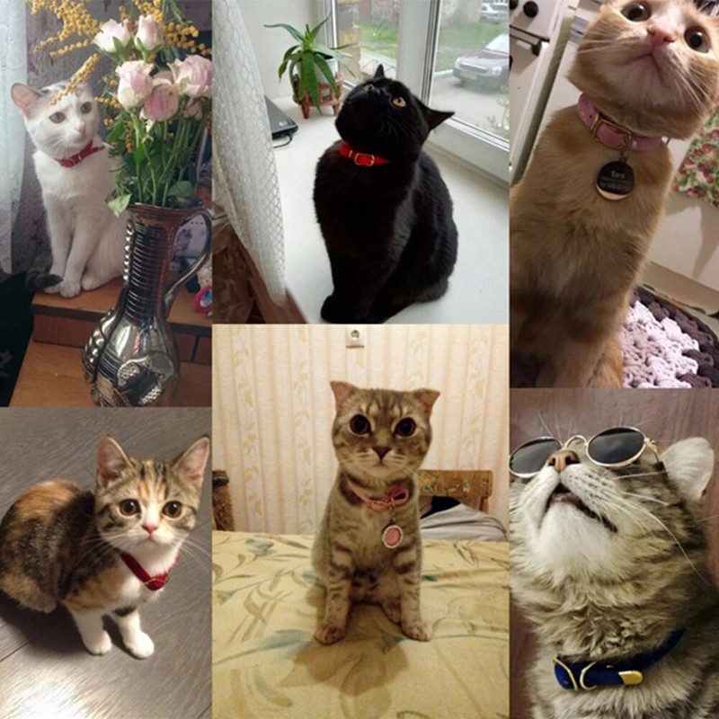 Kačių antkaklis su saugiu kačių antkakliu Reguliuojamas šuniuko antkaklis mažiems šunims Kačiukai Solid Pet Collarhu Produktai kačių karoliai