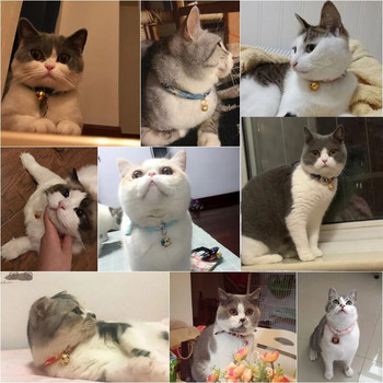 Κολιέ με κουδούνι για γάτα σε ιαπωνικό στυλ Χαριτωμένα αξεσουάρ για κατοικίδια για γάτες σκύλους Κουτάβια Sphynx Κολάρα για κατοικίδια Προϊόντα Gatos collier chat