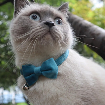 Ρυθμιζόμενο βελούδινο μονόχρωμο κολάρο γάτας Bowknot Puppy Kitten κολάρο με παπιγιόν Bell Cats Αξεσουάρ για αγκράφα ασφαλείας για γάτα