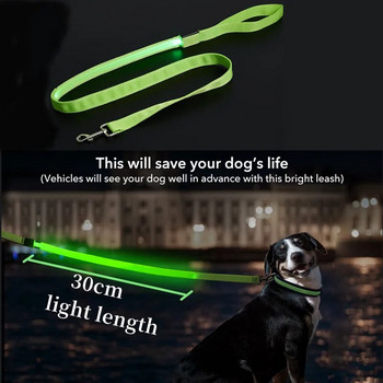 Led Pet Dog Leash Rope with Light Luminous Leash Leash USB Charging for Dog Safety που αναβοσβήνει Λαμπερό λουρί για κολάρο Αξεσουάρ