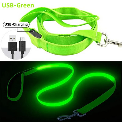 Led Pet Dog pavadėlio virvė su šviesiai šviečiančiu švino pavadėliu, USB įkrovimu, skirtas šunų saugai, mirksinčios švytinčios antkaklio petnešos priedai