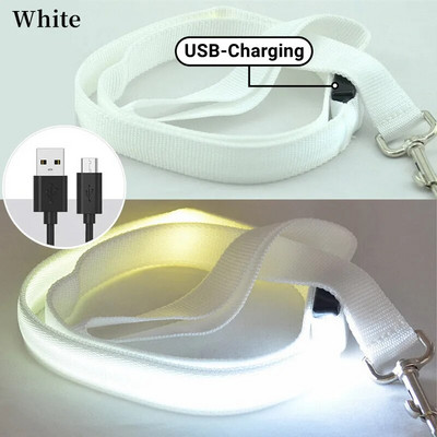 Led Pet Dog pavadėlio virvė su šviesiai šviečiančiu švino pavadėliu, USB įkrovimu, skirtas šunų saugai, mirksinčios švytinčios antkaklio petnešos priedai