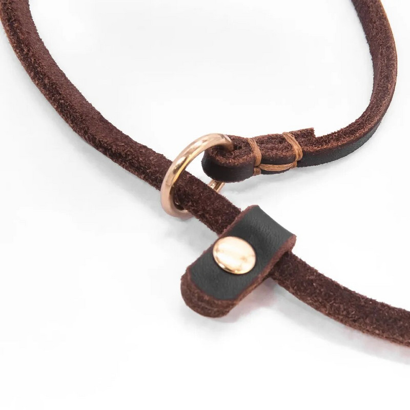 Pärisnahast koerte libisemisrihm koeratreeningrihm Lemmikloomadele mõeldud jalutusrihm väikestele koertele kassidele tõmbevaba rihm ja kaelarihm kutsikale