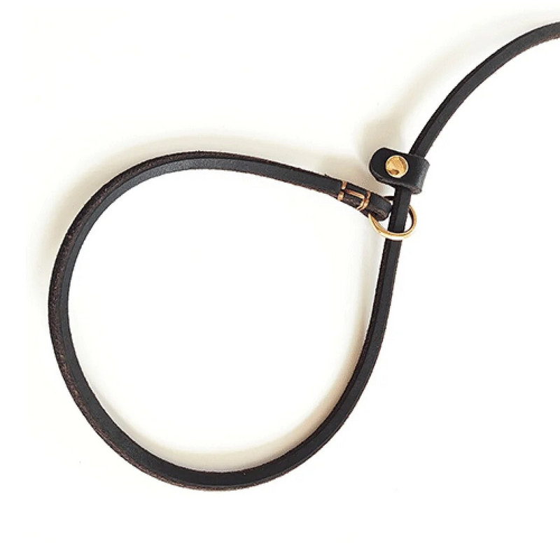 Pärisnahast koerte libisemisrihm koeratreeningrihm Lemmikloomadele mõeldud jalutusrihm väikestele koertele kassidele tõmbevaba rihm ja kaelarihm kutsikale