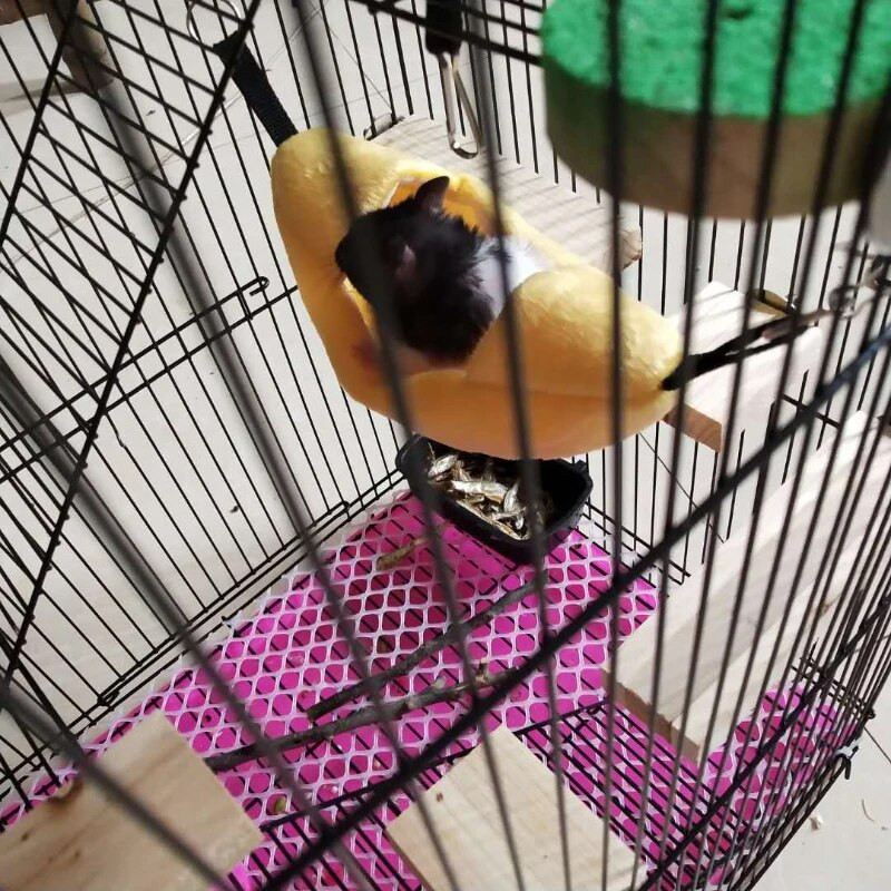 Naujovė Banano formos lizdas pliušinis medvilninis žiurkėnas Šiltas namas Hamakas Žiurkė Pelė Gyvenamasis namas Kabantys Medžio lovos Žiurkėno priedai