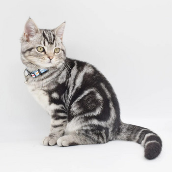 Χαριτωμένο κολάρο γάτας με πολυεστέρα με καμπάνες
