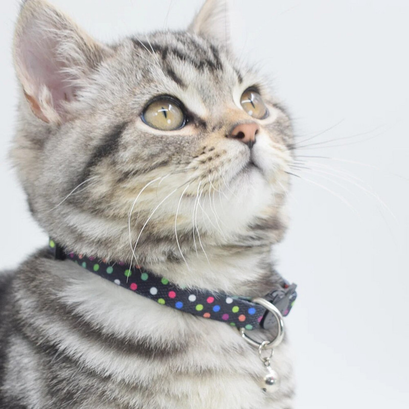Poliesteriu margintas mielas katės apykaklės papuošimas su varpeliais